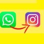 Como colocar o link do WhatsApp na bio do Instagram